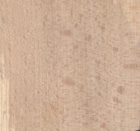 zřetelná zrcadla, na tangenciálním až 5 mm vysoké svislé tmavší pásky. Bukové dřevo je středně těžké a středně tvrdé, méně trvanlivé a málo odolné proti biotickým činitelům (houbám, hmyzu).