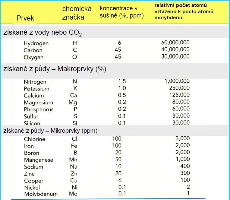 PROČ ROSTLINY PŘIJÍMAJÍ TOXICKÉ KOVY?