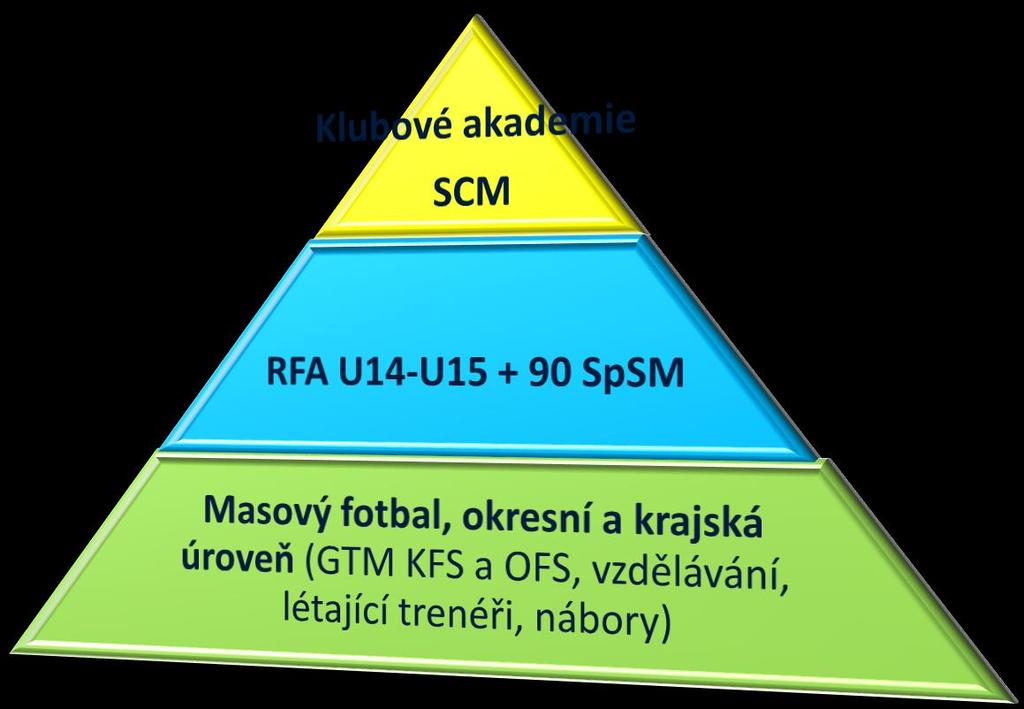 STRUKTURA VÝCHOVY HRÁČŮ Reprezentace + Profesionální fotbal