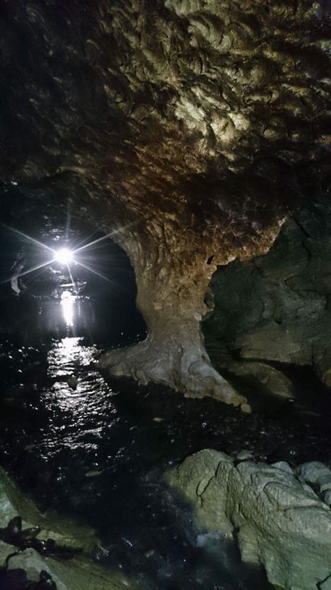 ledna 1969 a v témže roce dne 16. srpna 1969 došlo k objevení Nové amatérské jeskyně. Objevování nových prostor se ani zde neobešlo bez tragédií a ztrát na životech.