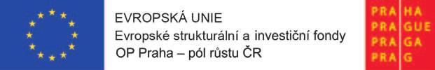 ID EN T ITA UČITEL V ROLI TVŮRCE VÍT