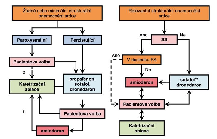 Co by měl praktický lékař věděto diagnostice a léčbě fibrilace síní Obr. 2.