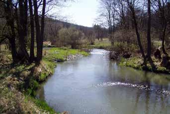 Z Vojnovic vede údolím řeky Odry po jejím pravém břehu do další zaniklé obce do Rudoltovic - cesta, která je roubená věkovitými javory kleny.