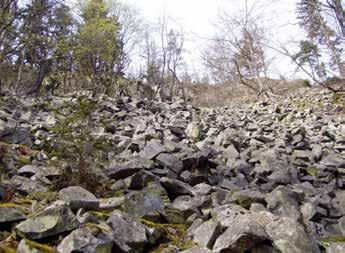 Při vstupu cesty do lesa vystupuje v levém svahu skalnatý výchoz tvořený drobami, který vzdáleně připomíná kamenný vějíř.