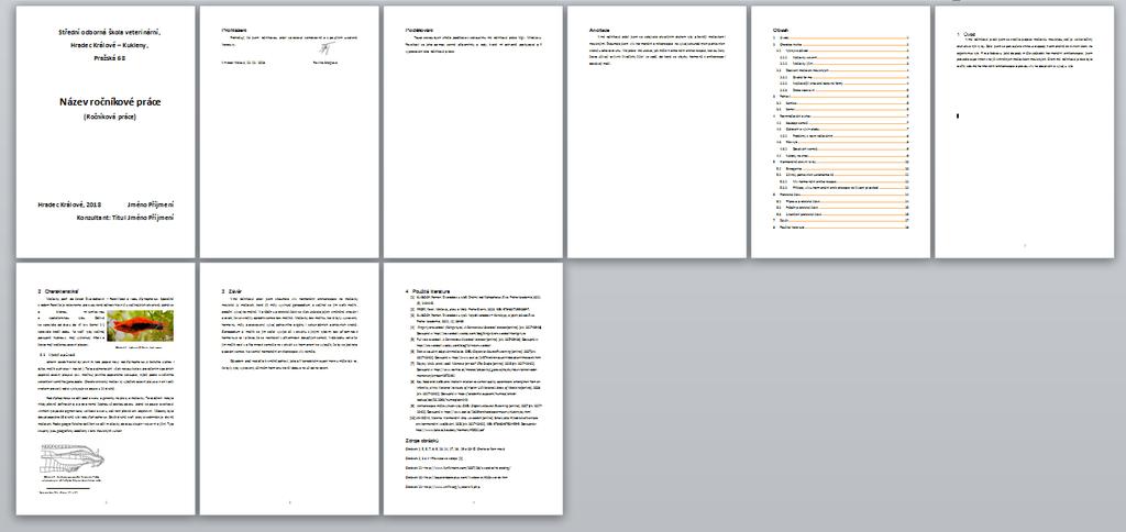 3 Přílohy Příloha 1 Struktura stránek ročníkové práce Úvodní strana
