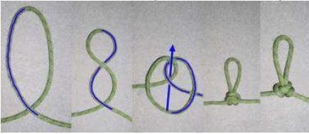 Dalším uzlem je motýlek (ilustrace č. 80). Motýlek spadá do kategorie tzv. anomálních uzlů, neboť slouží k excentrickému namáhání uzlu.