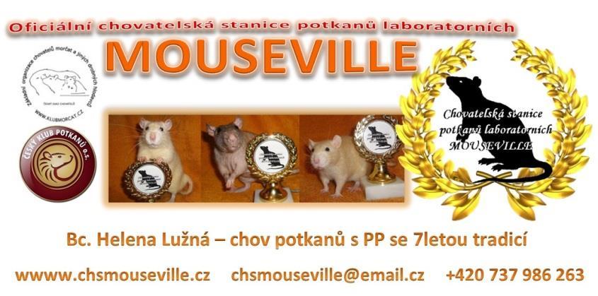 oficiální kategorie (potkani s PP) René Bastiaans (Holandsko) potkani mazlíci Michaela Švrčková