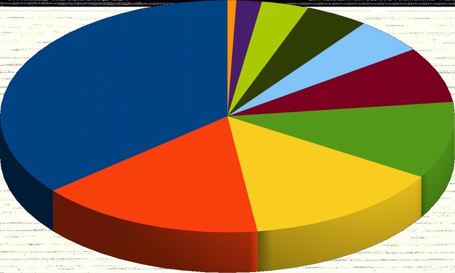 TOP10 share according to number of incidents per one IP in the country