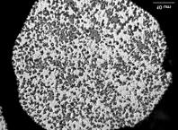 10 µm Obr.5: Slitina I (1,5%Ti), 0h, (25-45) µm Obr.
