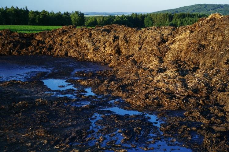 Odhad dopadů optimalizace hospodaření na retenční schopnost půdy Při dodávání organické hmoty do půdy dle