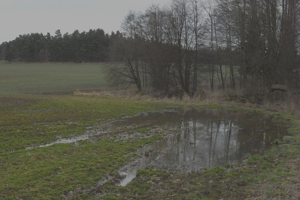 Degradace půdy Ztráta organické hmoty Zhoršení půdní struktury Utužení půdy Omezení infiltrace vody ZrychleníPříklad: povrch.