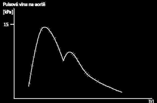Obrázek 14: Pulsová vlna v aortě [7]. Tlaková křivka tedy putuje od svého vzniku (vypuzení krve) do periferií, kde při svém průběhu rozšiřuje průměr cév a je hmatná jako puls.