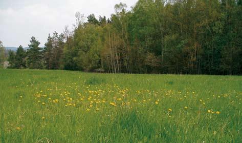 Podopatření je kombinovatelné s titulem EZ a s titulem Trvale podmáčené louky a rašelinné louky. Na podopatření Ošetřování travních porostů bylo celkově zažádáno o dotace ve výši cca 1 886 mil. Kč.