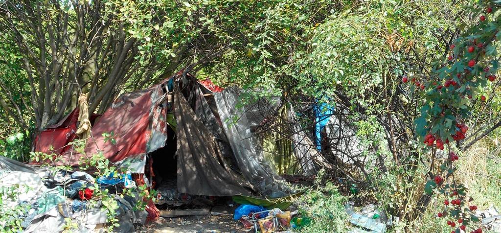 Cíle služby Vyhledávání a kontaktování osob bez přístřeší v jejich přirozeném prostředí. Navazování kontaktu a vybudování vztahu důvěry s osobou bez přístřeší.