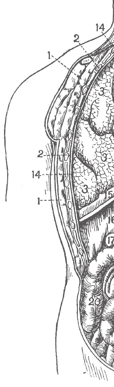 PODĚBRADY - navigační mapa 16. Husova Na Vinici Vinici Boučkov Boučkov Koutecká 103 9. května května Na Chmelnici Chmelnici Pražská Dr. Horákové Pražská Dr. Beneše Dr.