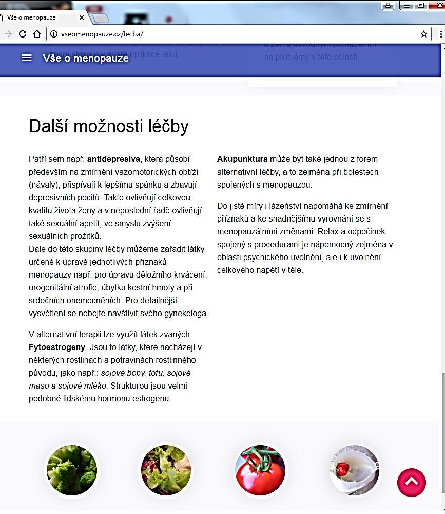 Obrázek 5: Další možnosti léčby Webové stránky jsou dále obohaceny o online poradnu, kde se ženy mohou dotazovat na konkrétní otázky a získat tak