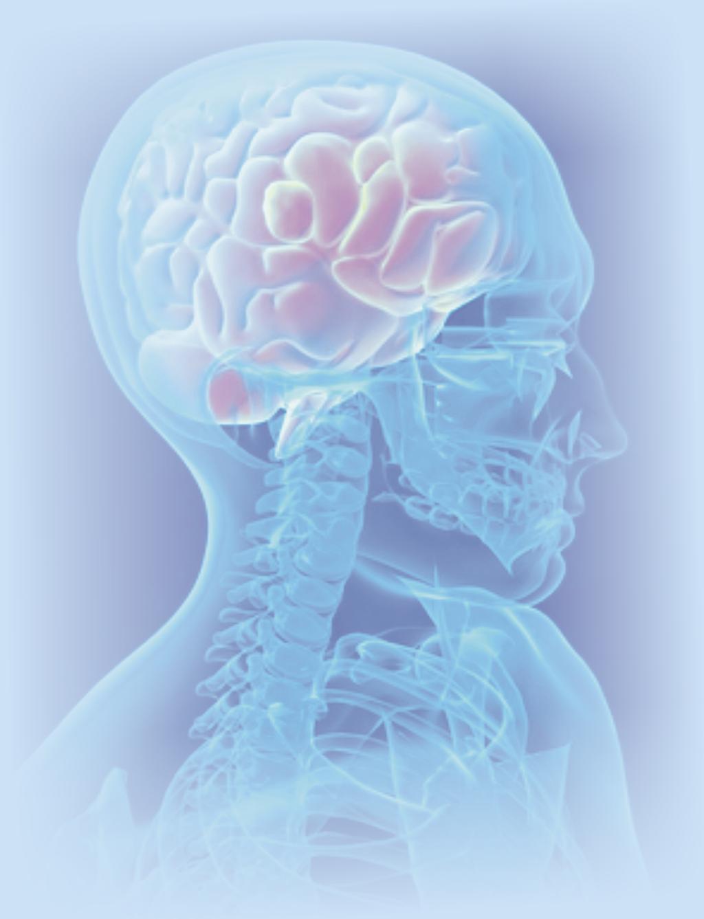 Edukaèní centrum praktické anatomie ve