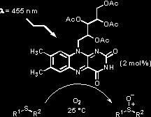 Organická chemie B Fotooxidace sulfidů na sulfoxidy katalyzovaná tetracetylriboflavinem Tomáš Neveselý B1 Organické chemie doc. Ing. Radek Cibulka, Ph.D.