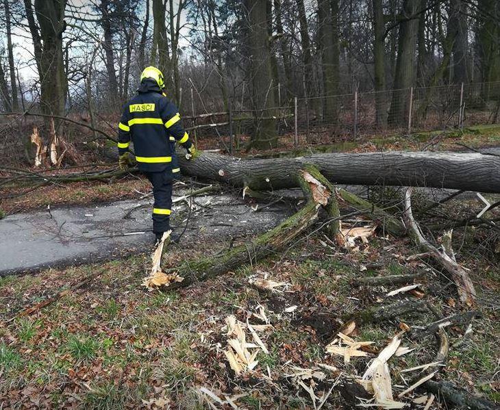 HASIČI ŠILHEŘOVICE Jak hasiči z Šilheřovic prožili první ¼ roku 2018? Toto období bylo pro nás celkem pestré, věnovali jsme se jak výcvikům, kulturní akci ale také výjezdové činnosti.