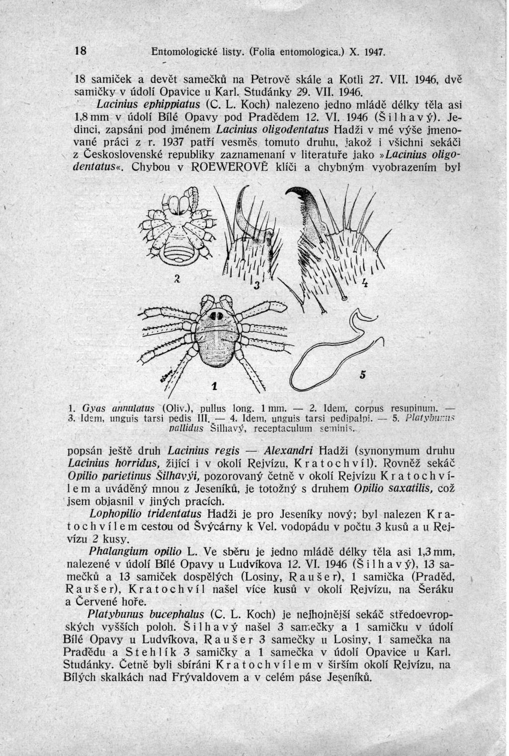 \ 18 Entomologické listy (folia entomologica) X 1947 18 samiček a devět samečků na Petrově samičky v údolí Opavice u \arl Studánky skále a Kotli 27 V 1946, dvě 29 V 1946 Lacinius ephipf}iatus ( C L