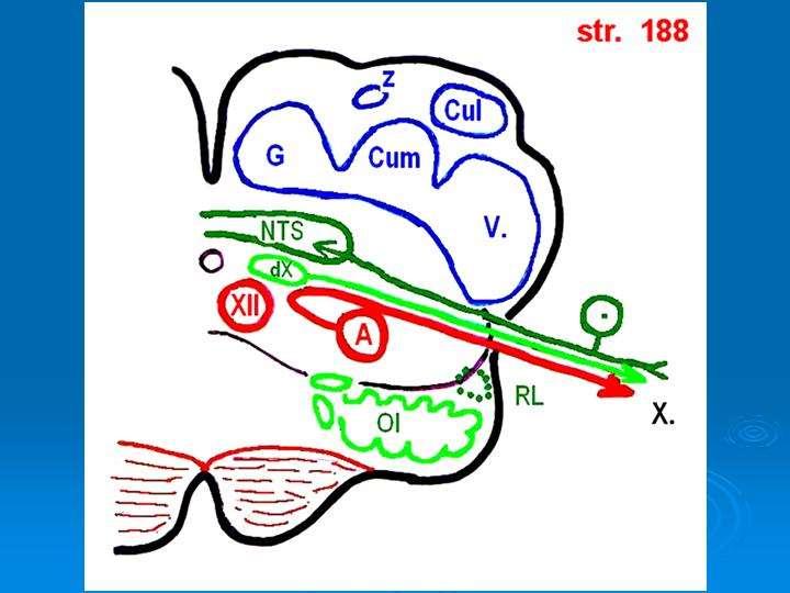 Schema prof.