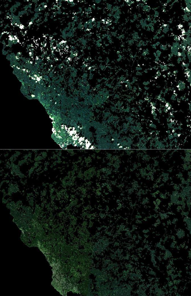 vegetačního indexu NDVI vzájemně porovnávány, hodnoty odrazivosti pro nejvyšší hodnota NDVI jsou poté uloženy do nového snímku, nezávisle pro každý pixel (porovnání přístupu tradičního skládání