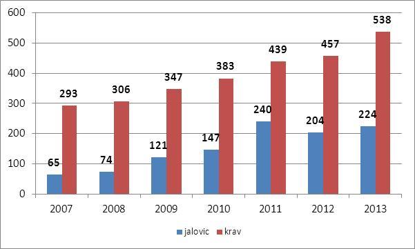 Vývoj početních stavů krav a jalovic v