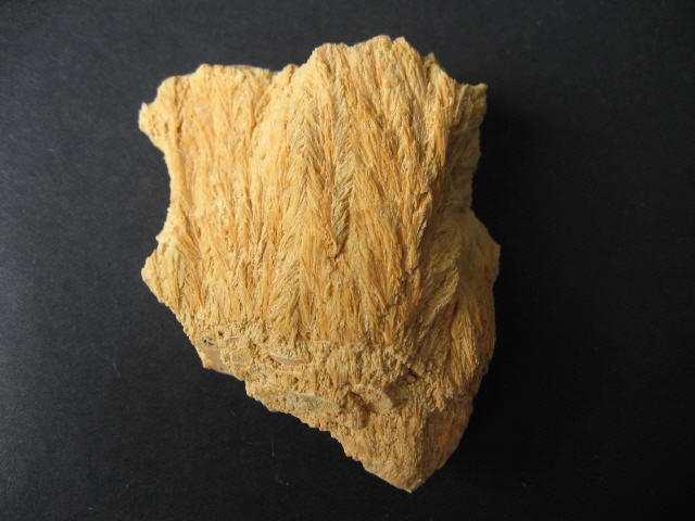 bohatých CaCO 3 - mineralogické složení tvořen