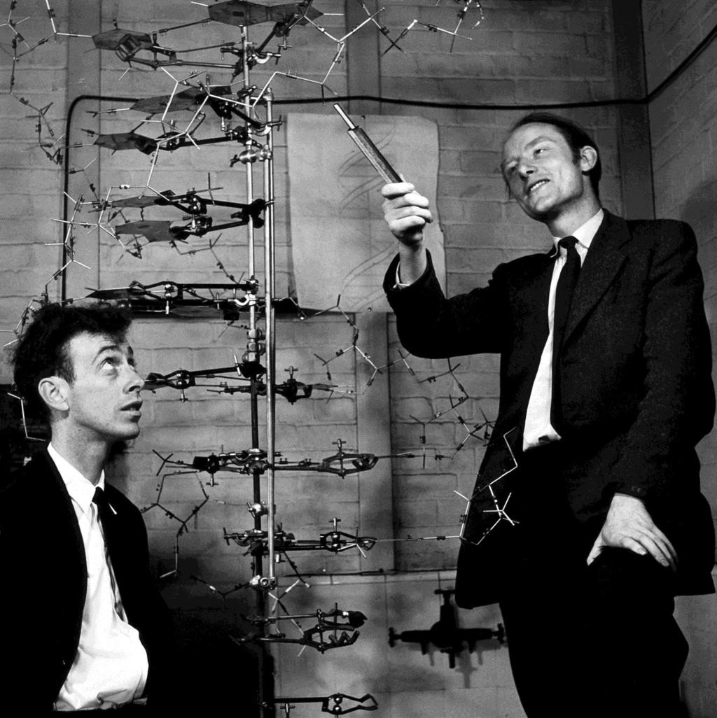 Sekundární struktura DNA dvojitá šroubovice 1953 James Watson, Francis