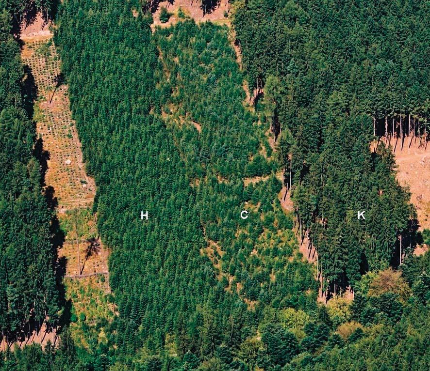 Šach: Svahový odtok ve vztahu k postupům obnovy lesa Výsledky řešení Srážky volné plochy Srážková charakteristika volné plochy v letním hydrologickém půlroce (květen - říjen) za léta 1980-2005 je