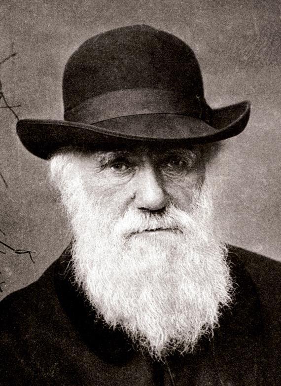 5 První člověk, který napsal o masožravých rostlinách Jak už tu bylo zmíněno, první, kdo napsal o masožravých rostlinách, byl Charles Darwin, což byl britský přírodovědec a zakladatel evoluční