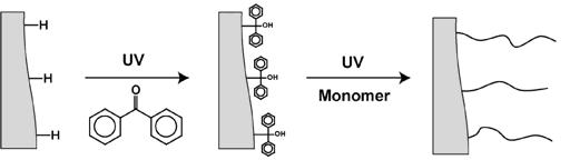 Chem. Listy 108, 127 134 (2014) Referát Existuje mnoho způsobů chemické modifikace povrchu monolitů.
