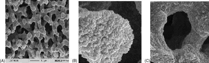 Chem. Listy 108, 127 134 (2014) Referát br. 8. SEM obrázky typické porézní struktury monolitu na bázi oxidu křemičitého (A), struktura mezopórů (B) a průtočných pórů (C); cit.