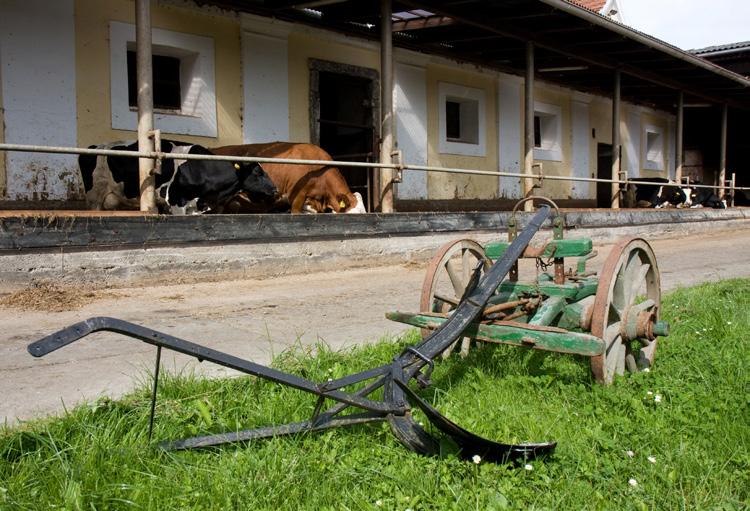 Po důkladné rekonstrukci celého areálu, za výrazné podpory zahraničních partnerů byl 15.listopadu 1999 otevřen i Domov sv. Anežky o.p.s., jehož prostřednictvím začalo sdružení naplňovat své poslání.