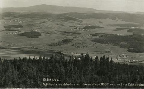 1930 Odlesnění krajiny Pokles početnosti