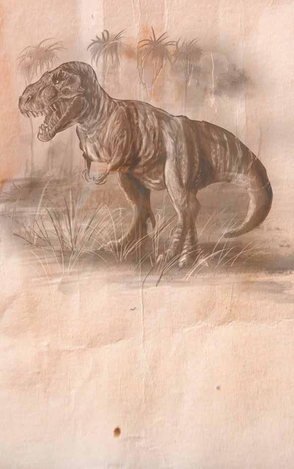 Tyrannosaurus rex (vládce ještěrů) Dosahoval velikosti až 13 metrů a vyskytoval se v období křídy hlavně na dnešním území Spojených států amerických.