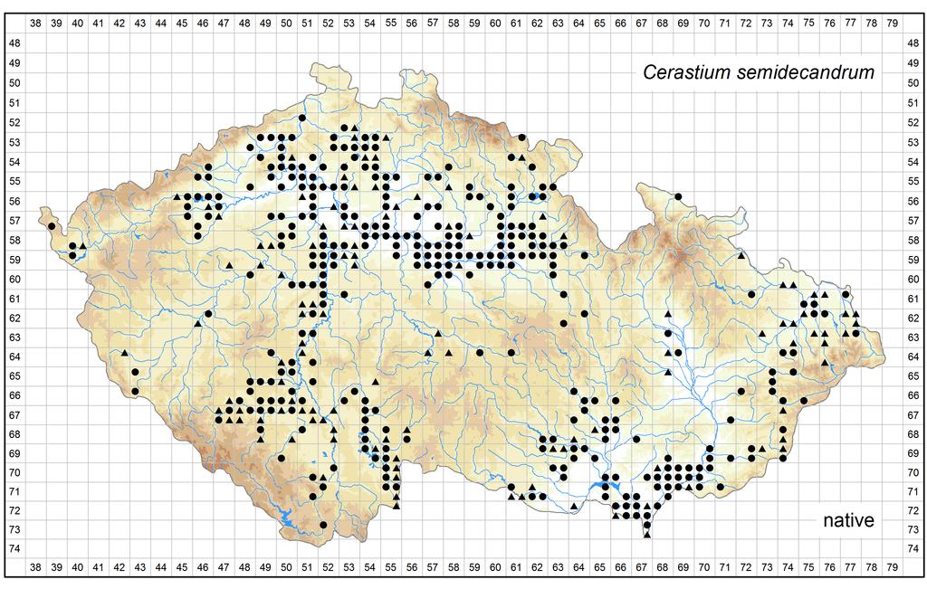 Distribution of Cerastium semidecandrum in the Czech Republic Author of the map: Jiří Danihelka, Martin Dančák, Michal Ducháček, Zdeněk Kaplan Map produced on: 07-11-2016 Database records used for