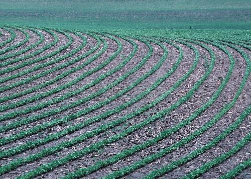 Dělení protierozních opatření Agrotechnická a vegetační Nemění se tvar ani velikost pozemků,