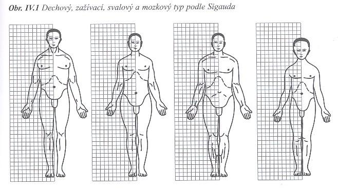 Historie typologie - Sigaud v podstatě potvrdil 4 Rostanovy typy: dechový, zažívací, svalově