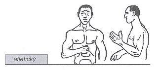 Atletický typ: Historie typologie je střední výšky se silně vyvinutou kostrou, svalstvem i hrudníkem. Břicho je svalnaté a nevystupující.