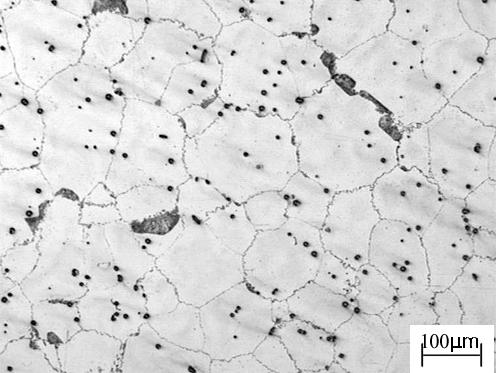 2. EXPERIMENTÁLNÍ OVĚŘENÍ DEFORMAČNÍHO CHOVÁNÍ VYBRANÝCH SLITIN HOŘČÍKU Experimentálně byly ověřovány slitiny AZ 91, AZ61, AZ31. Chemické složení slitin je uvedeno v tab.1. V příspěvku se zaměříme pouze na vyhodnocení slitiny AZ91.