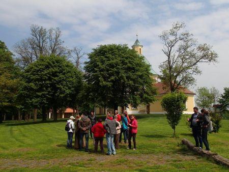 - koordinace výměny zkušeností a prohlubování spolupráce škol školení pro žadatele a příjemce ZŠ a MŠ - organizace vzdělávání v oblasti projektového řízení konzultační činnost při realizaci projektu