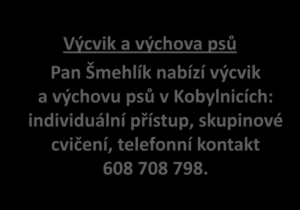 Výcvik a výchova psů Pan Šmehlík nabízí výcvik a výchovu psů v