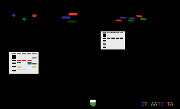 neostré proužky, používají se při amplifikaci DNA