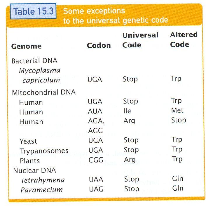 odchylky v genetickém kódu snižují výtěžek heterologní exprese výjímky: jiná preference: kodón pro arginin (6