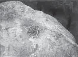 Obr. 7: Malý jamkový škrap na subhorizontálním povrchu pískovcové skály u Borotína. Fig.