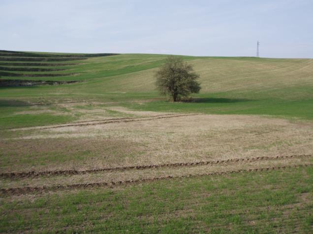 V současné době je maximálni ztráta půdy v ČR