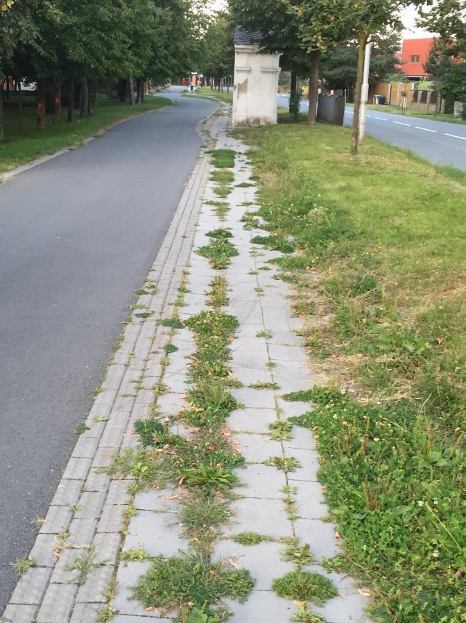 sousedními Samotiškami (samostatná obec, která se odtrhla od Olomouce v roce 1993), kde jsou chodníky čisté, bez