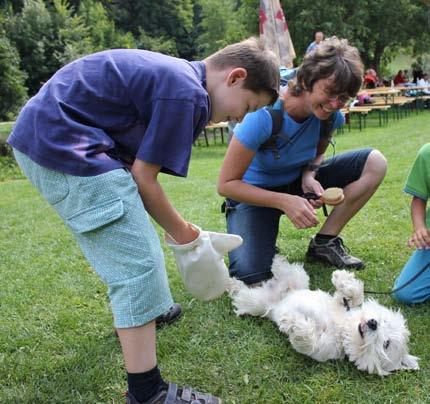 800,- Členské příspěvky z Výcvikové sekce 19.300,- Ostatní výnosy 441,- Celkem 505.