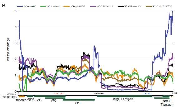 kopií standardů pro JCPyV -